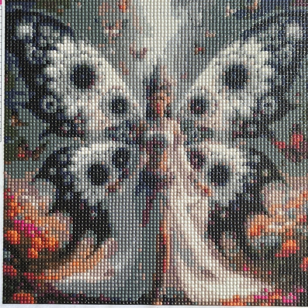 Butterfly  Lady Diamond Dot Art Picture Painting